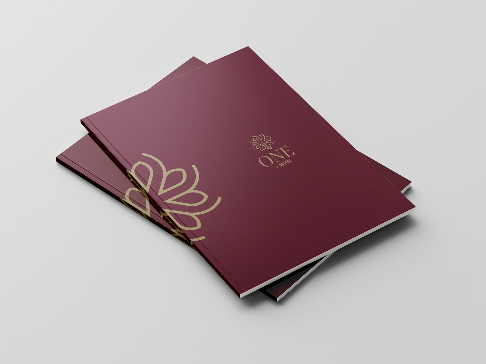 Portfolio Brochure