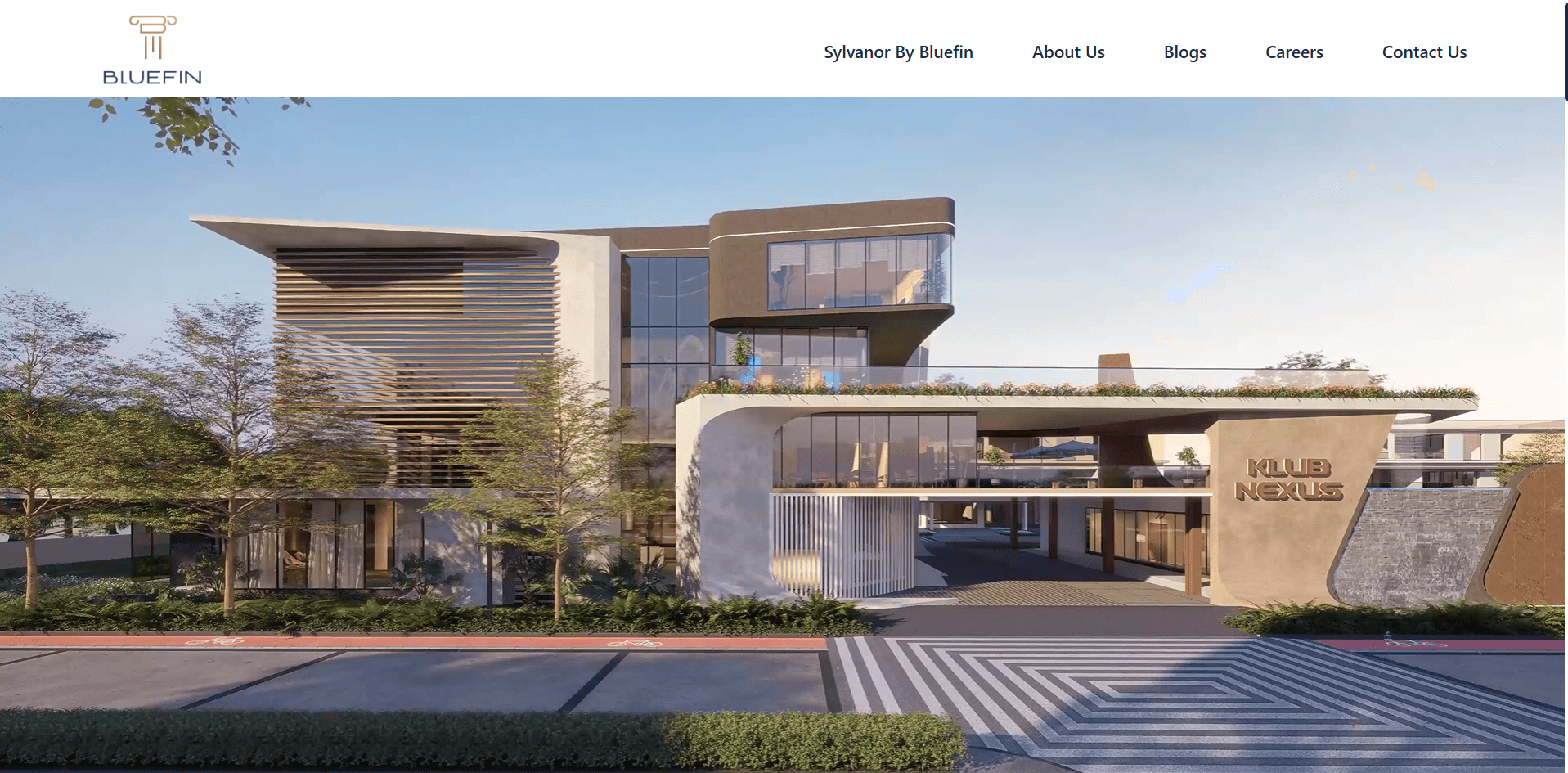 Portfolio Web